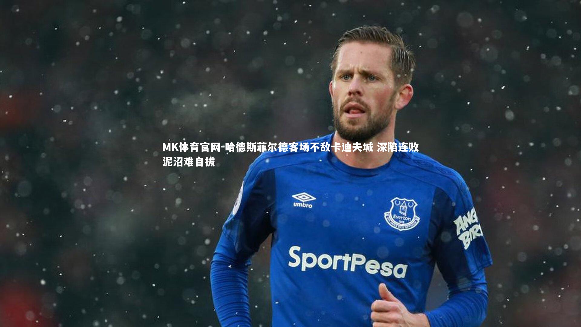 哈德斯菲尔德客场不敌卡迪夫城 深陷连败泥沼难自拔